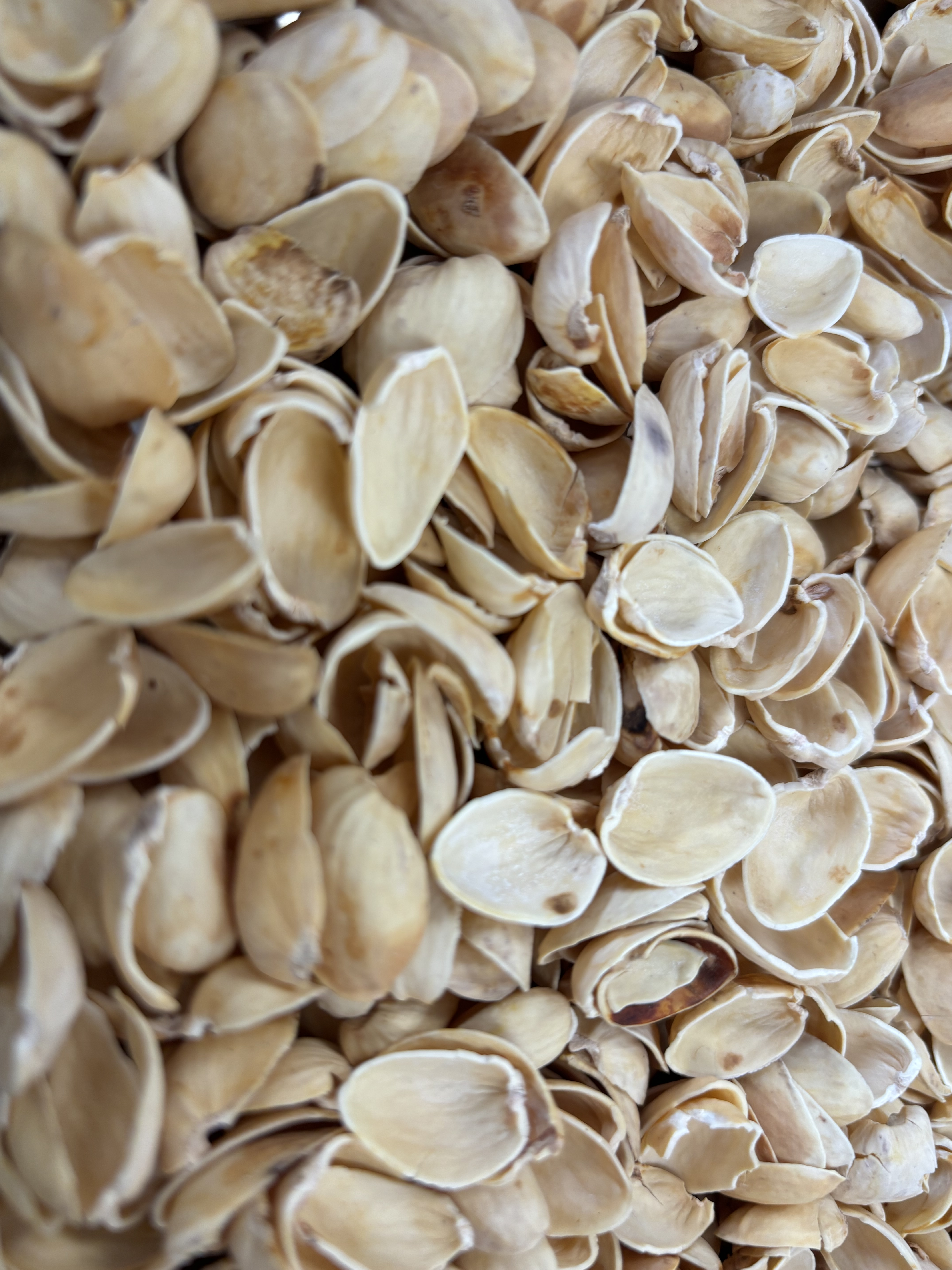 Bio-Powder Synthesis & Extrusion Compounding